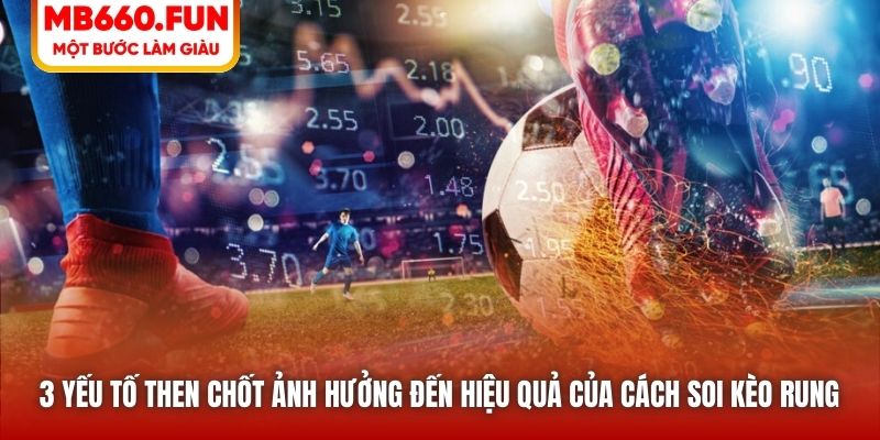 3 yếu tố then chốt ảnh hưởng đến hiệu quả của cách soi kèo rung 