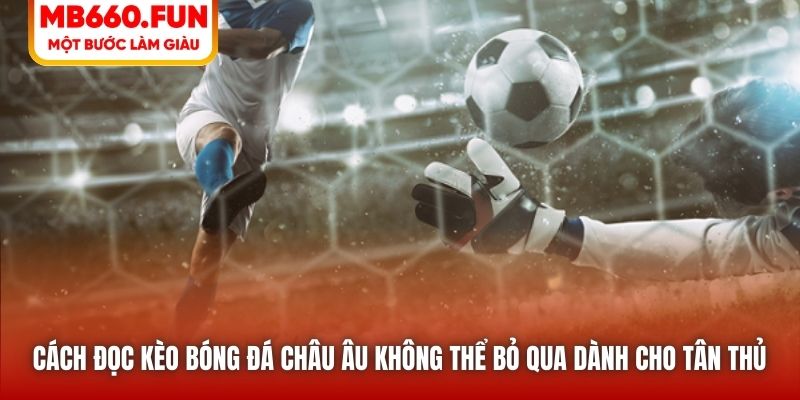 Cách đọc kèo bóng đá châu Âu không thể bỏ qua dành cho tân thủ 