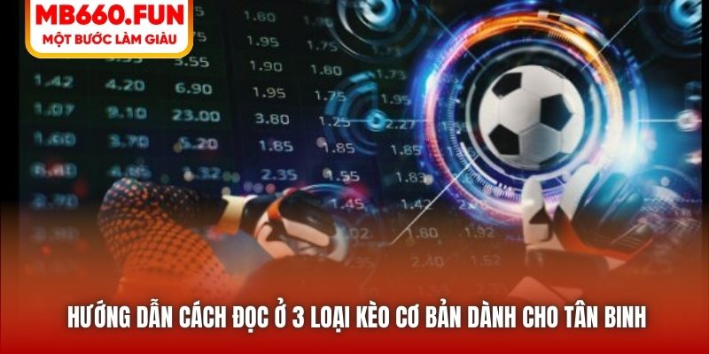 Hướng dẫn cách đọc ở 3 loại kèo cơ bản dành cho tân binh 